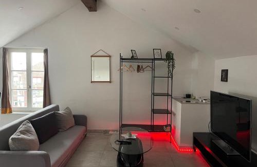 Basel City Centre Apartment | City Apartment Basel BS12
