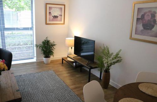Winchester Apartment | City Apartment