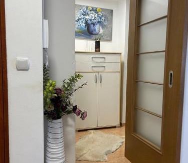 Matiçan Apartment | City Center Apartment