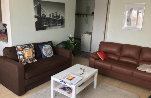 Siilinjarvi Apartment | City centre apartment Siilinjärvi