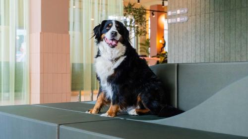 Kristiansand Hotel | Citybox Kristiansand