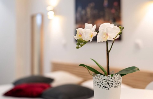 Orangerie Apartment | CityCosy Strasbourg - Studio Hirtz Orangerie, CityCosy-Strasbourg : Studio Residence Hirtz