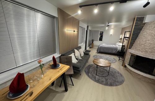 Ivalo Apartment | Cityview Studio