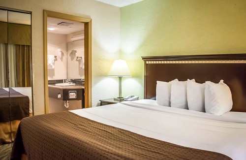 Tampa Hotel | Clarion Pointe Tampa-Brandon Near Fairgrounds and Casino