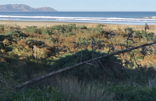 Porangahau House | Classic family bach