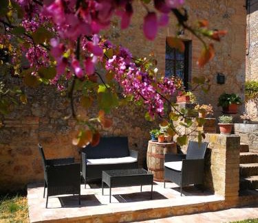 Sovicille Apartment | CLAUDIA VACANZA TOSCANA - Appartamento Nocciolo- 10 min da Siena