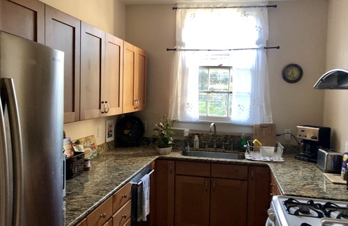 Carrollton Apartment | Clean Comfortable Quiet Uptown Refuge near Park & Streetcar