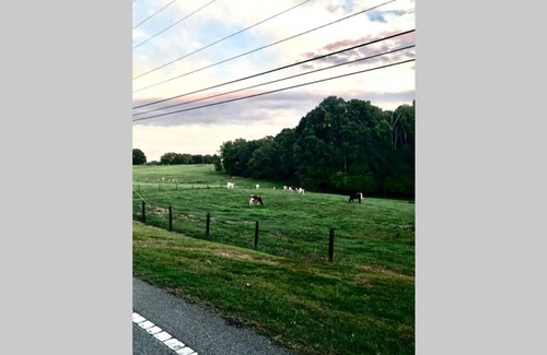 Clemson House | Clemson Farmhouse