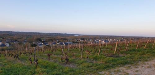 Rochefort-sur-Loire Bed & Breakfast | Clos sainte catherine