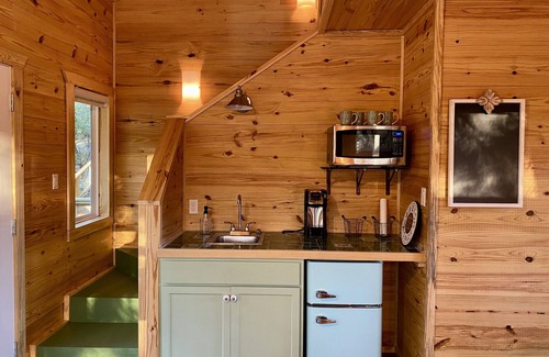 Lacy-Lakeview Cabin | Coach's Quarters - The Dugout - Come Spend The Night in the Trees!