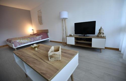 Novel Apartment | Cocon & Cosy Annecy