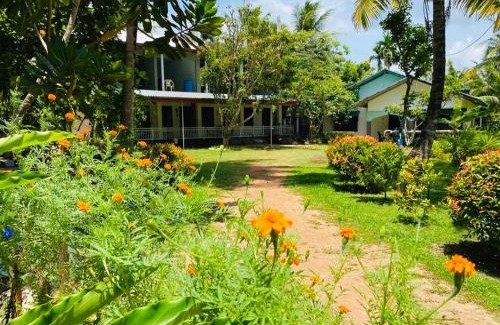 Midigama East House | Coconut Grove - Midigama