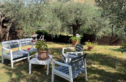 Tivoli Apartment | Colle Paciocco