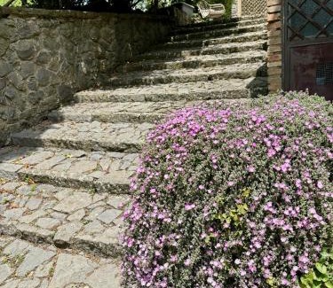 Orvieto Bed & Breakfast | Collina Blu