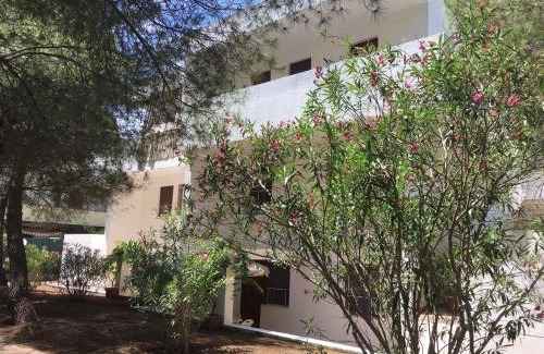 Castellaneta Marina Apartment | Collins Apartments