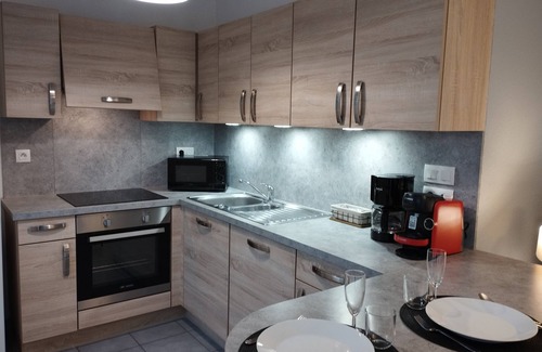 Horbourg-Wihr Apartment | Colmar garden level with closed garage.