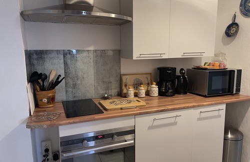 Colmar Apartment | Colmar small garden of the semm 6 to 10 people, parking 4 private cars and iron