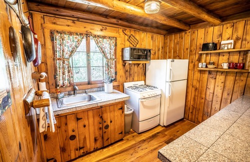 Evergreen Cabin | Colorado Bear Creek Cabin 2