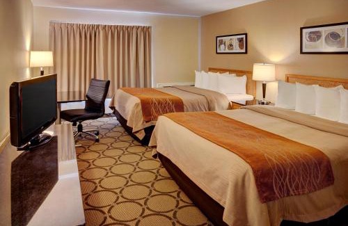 Corner Brook Hotel | Comfort Inn