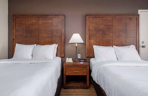 Gander Hotel | Comfort Inn
