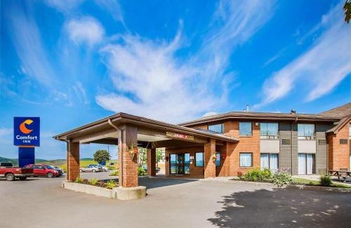 Swift Current Hotel | Comfort Inn