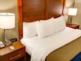 Churchhill Hotel | Comfort Inn Conference Center Philadelphia Penn Hills