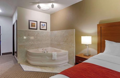 Hobart Hotel | Comfort Inn Hobart-Merrillville I-65