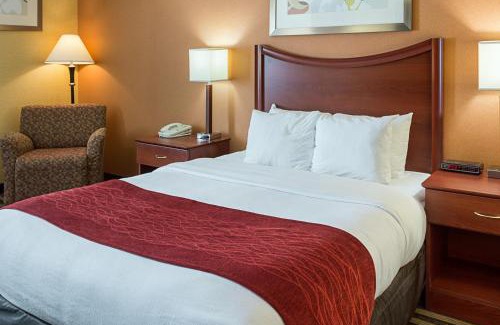 Southern Estates Hotel | Comfort Inn Petersburg Near Fort Gregg-Adams