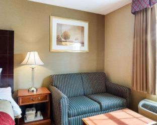 Rockland Hotel | Comfort Inn Rockland - Boston