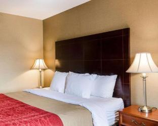Rockland Hotel | Comfort Inn Rockland - Boston
