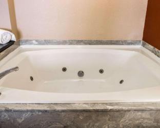 Mount Pleasant Hotel | Comfort Inn & Suites and Conference Center