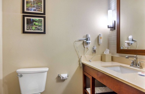 Birmingham Hotel | Comfort Inn & Suites at CrossPlex Village