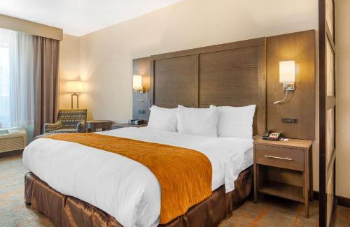 Brighton Hotel | Comfort Inn & Suites Brighton Denver NE Medical Center