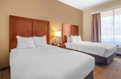 St. Petersburg - Clearwater Hotel | Comfort Inn & Suites Northeast - Gateway
