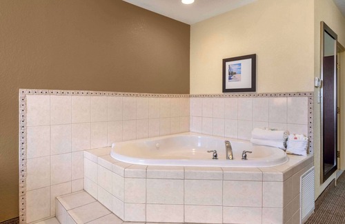 St. Petersburg - Clearwater Hotel | Comfort Inn & Suites Northeast - Gateway
