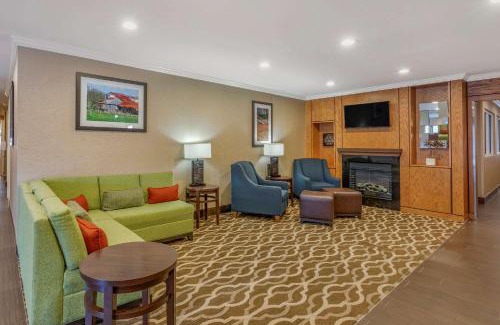 Dallas Hotel | Comfort Inn & Suites North Dallas-Addison