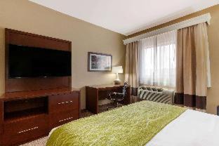 Page Hotel | Comfort Inn & Suites Page at Lake Powell