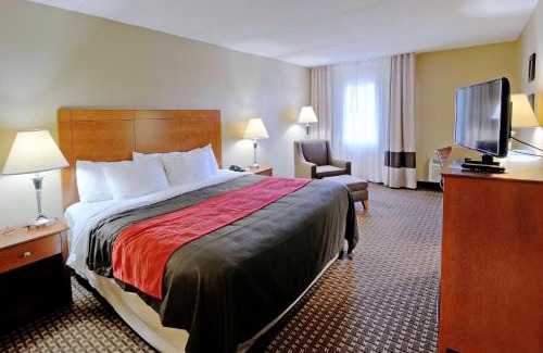 Raphine Hotel | Comfort Inn & Suites Raphine - Lexington near I-81 and I-64