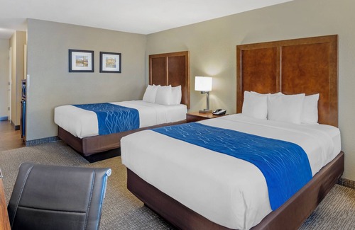 Rocklin Hotel | Comfort Inn & Suites Rocklin - Roseville