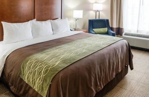 Rochester Hotel | Comfort Inn & Suites West - Medical Center