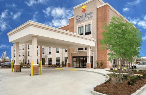Zachary Hotel | Comfort Inn & Suites Zachary