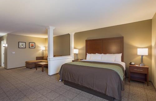 Zachary Hotel | Comfort Inn & Suites Zachary