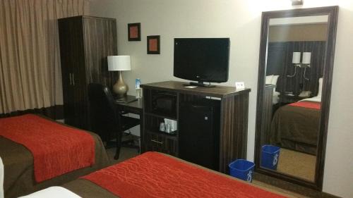 Trenton Hotel | Comfort Inn Trenton