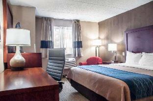 Amherst Hotel | Comfort Inn University
