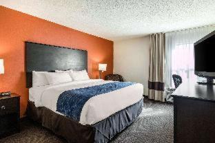 Kalamazoo Hotel | Comfort Inn Wings Stadium