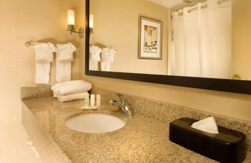 Chantilly Hotel | Comfort Suites Dulles Airport