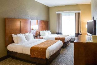 Grand Rapids Hotel | Comfort Suites Grand Rapids South