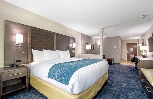 Humble Hotel | Comfort Suites Humble Houston IAH
