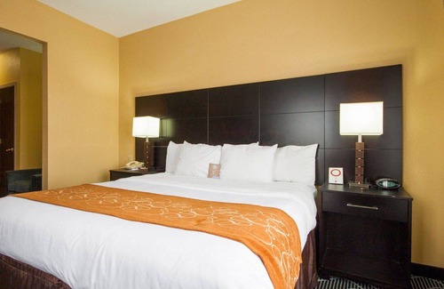 Rowlett Hotel | Comfort Suites Lake Ray Hubbard
