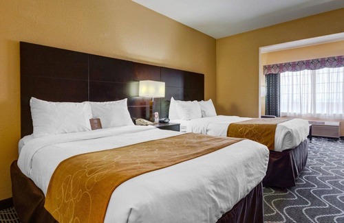 Rowlett Hotel | Comfort Suites Lake Ray Hubbard